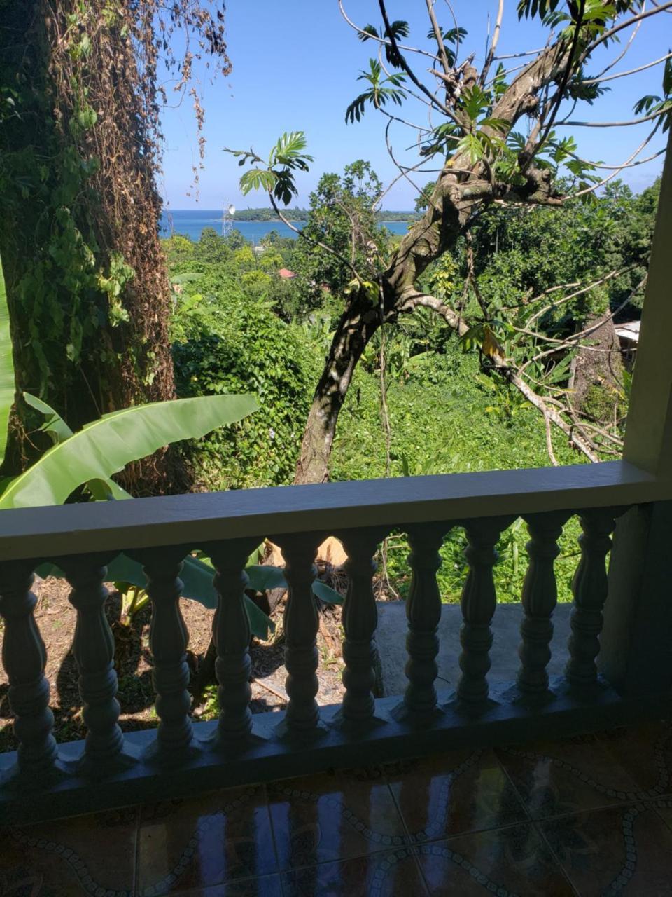 Viva Violas Port Antonio Exterior photo