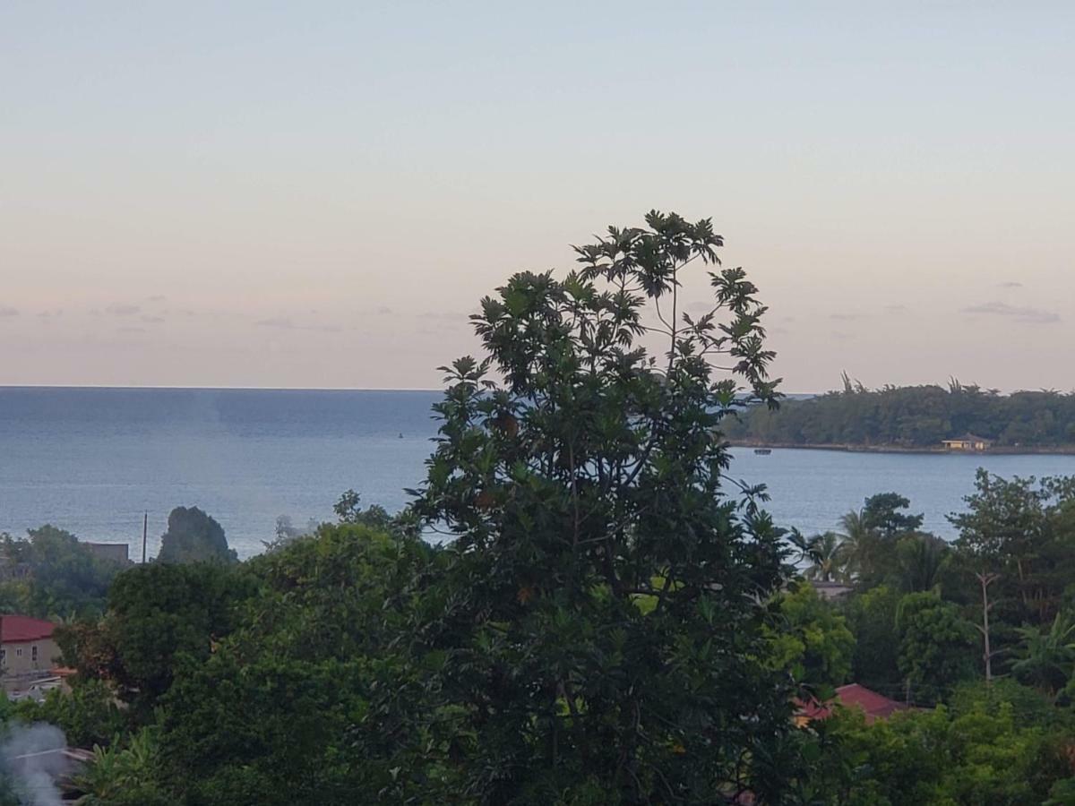 Viva Violas Port Antonio Exterior photo